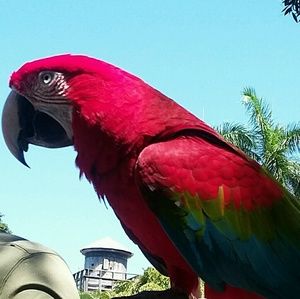 Meet your Posher, Willie